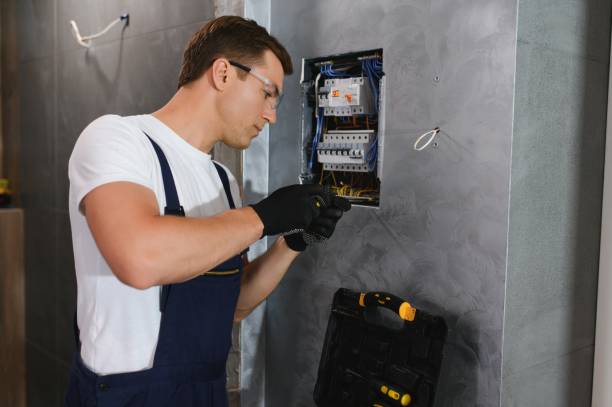 Best Electric Panel Repair  in Wanatah, IN